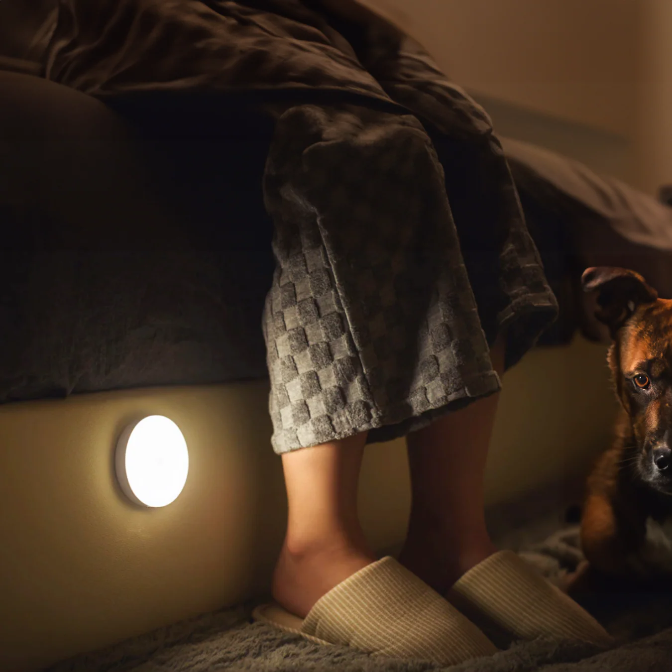 Luméa™ Motion Light